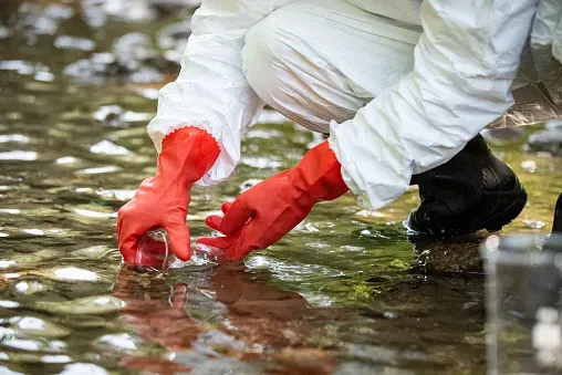 Biorremediação ambientes contaminados