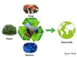 Biorremediação para bioacumulação