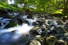 Laudo de caracterização ambiental